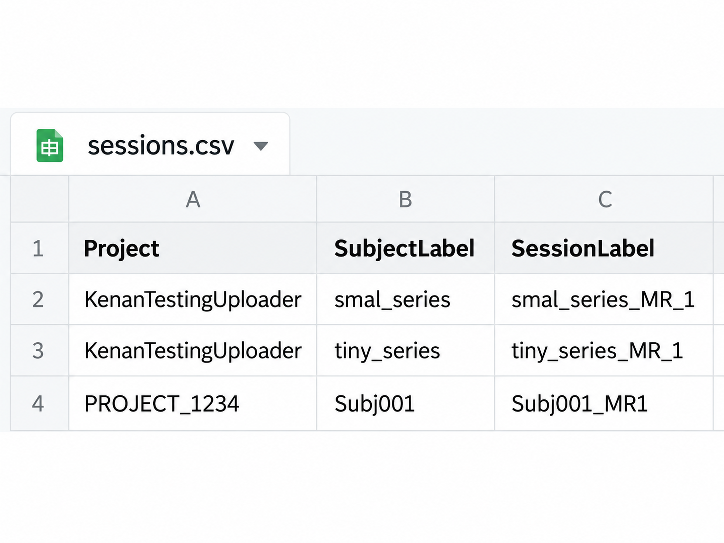 Example CNDA session list displayed in a spreadsheet